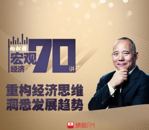 向松祚最新演講解析，學(xué)習(xí)其演講技巧與思想的啟示