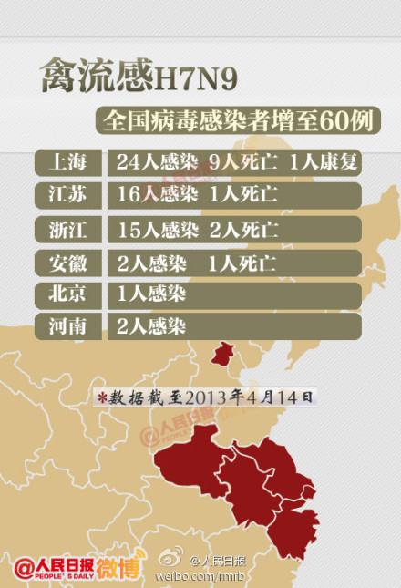 山東禽流感最新動態(tài)，友情與陪伴的溫馨故事