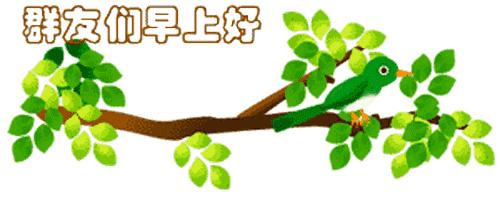 最新清晨祝福短信，晨曦中的溫暖問候，傳遞美好祝愿與關懷
