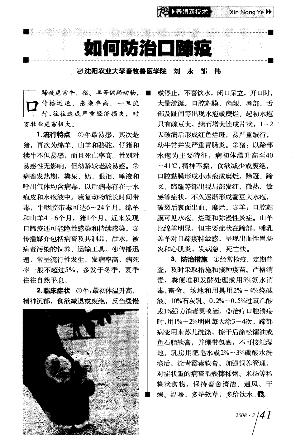 口蹄疫最新科研，自然探險與內(nèi)心平和的追尋之旅