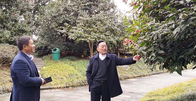 最新花木求購，開啟一場尋綠之旅的溫馨旅程