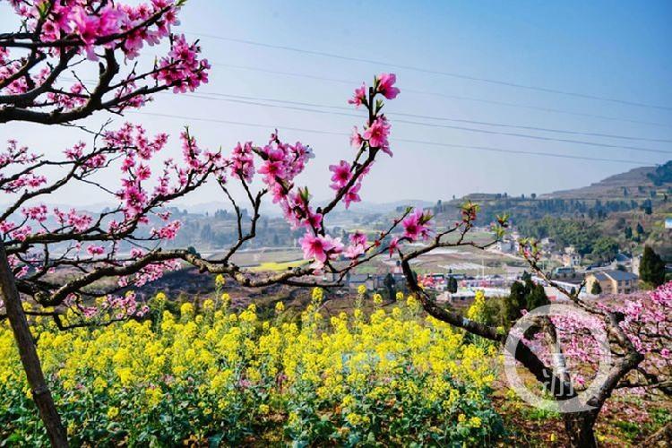 合川最新科技新聞，高科技產(chǎn)品引領(lǐng)未來生活潮流