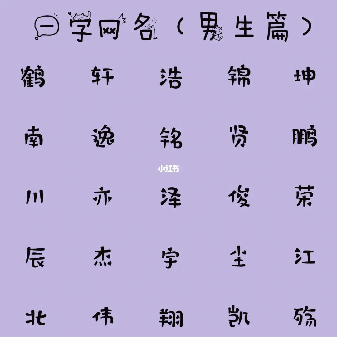 最新男生網(wǎng)名，時代潮流與虛擬身份的完美融合塑造