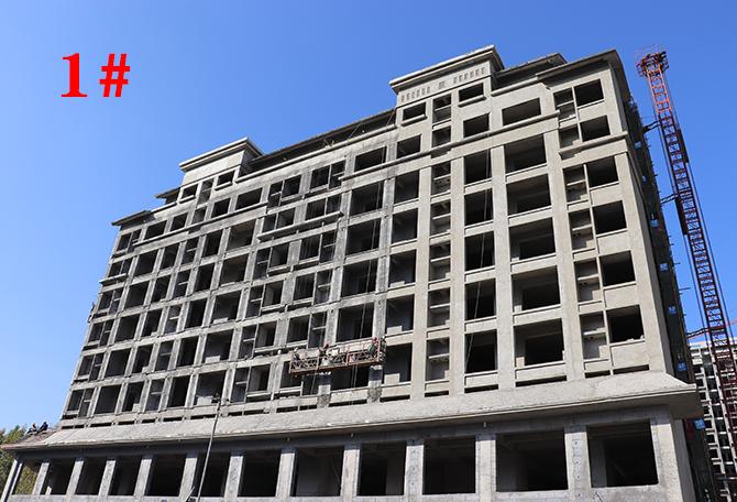 平輿最新樓盤市場現(xiàn)狀與前景展望，深度解析市場趨勢與發(fā)展前景展望