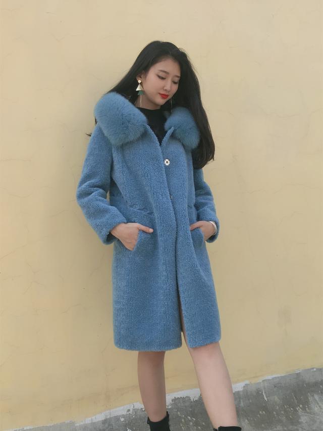 三七花最新價(jià)格揭秘，溫馨小故事中的尋找之旅