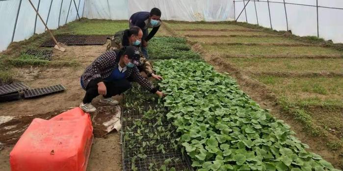 策勒最新招聘啟航人才新篇章，學(xué)習(xí)變化，擁抱自信與成就，啟程人生新征程！
