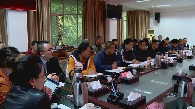 德昌最新新聞，擁抱自然，心靈寧靜之旅啟程