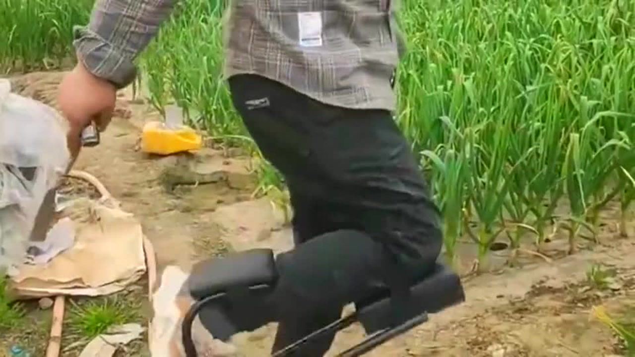 最新挖蒜工具，心靈與自然的完美交融