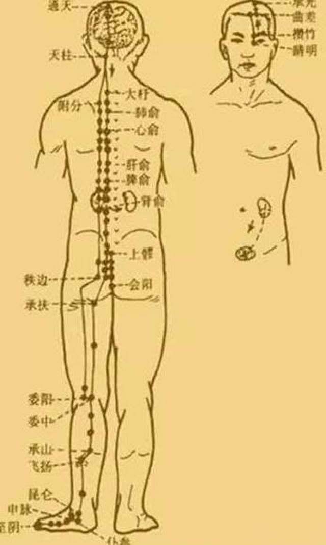 最新經(jīng)絡(luò)操，探索古老奧秘，重塑健康身姿