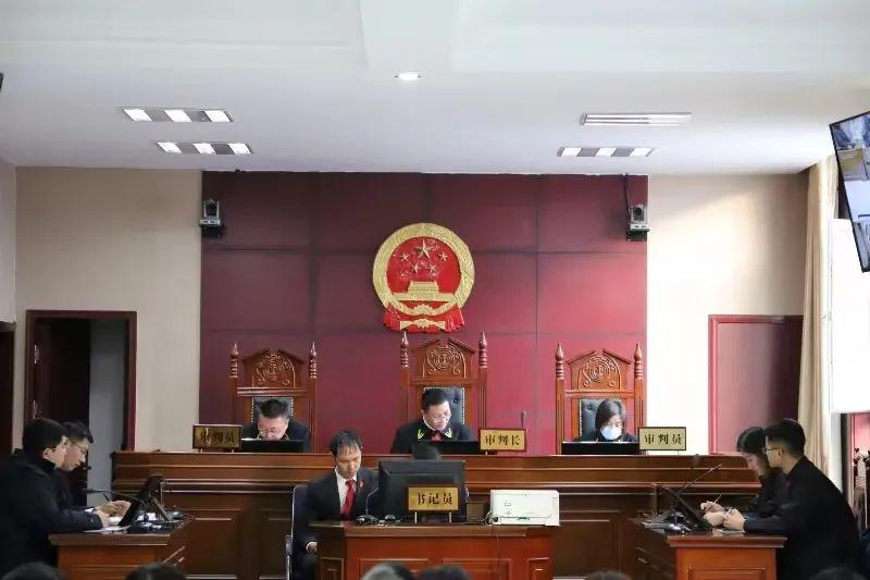 偏關(guān)最新案件深度解析，揭示真相，關(guān)注社會公正與公平