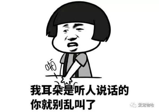最新枕邊笑話，科技小寶貝，生活添樂趣