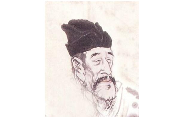 最新孤雁圖片，展現(xiàn)自然之美與深意的瞬間