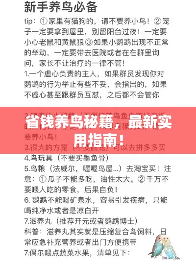 最新養(yǎng)鳥法規(guī)解析，觀點闡述與深度探討
