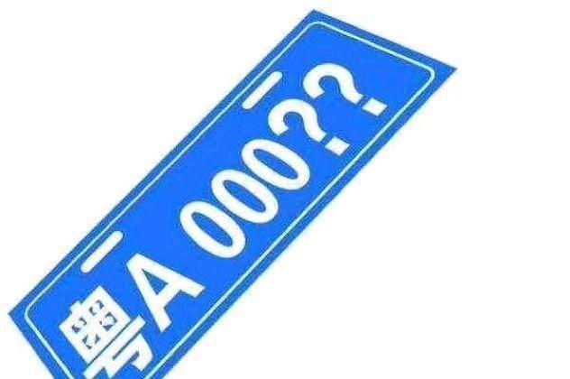 最新拍牌照，一段溫馨有趣的旅程