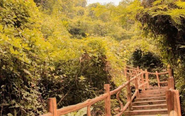 小99最新，科技、生活與娛樂的交融之地