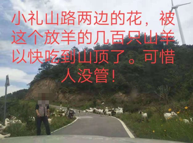 燈飾燈具 第44頁