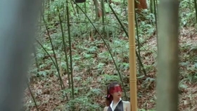 原野小年最新風(fēng)情，小巷深處的獨特魅力