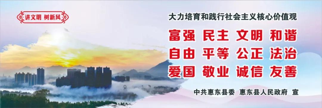 惠州肺炎最新動態(tài)，小巷深處的獨特小店背后的故事