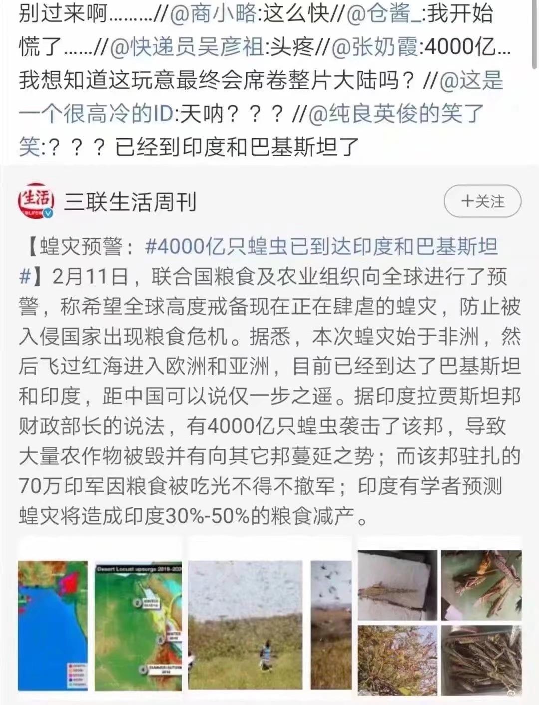 蝗蟲最新動態(tài)，防治與監(jiān)測的全面指南