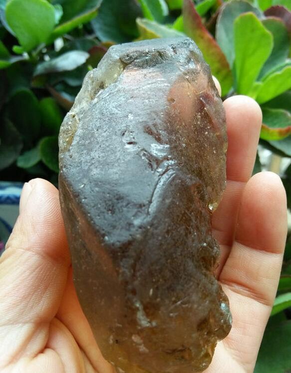 最新鑒定法，揭示友情的印記與家的溫馨