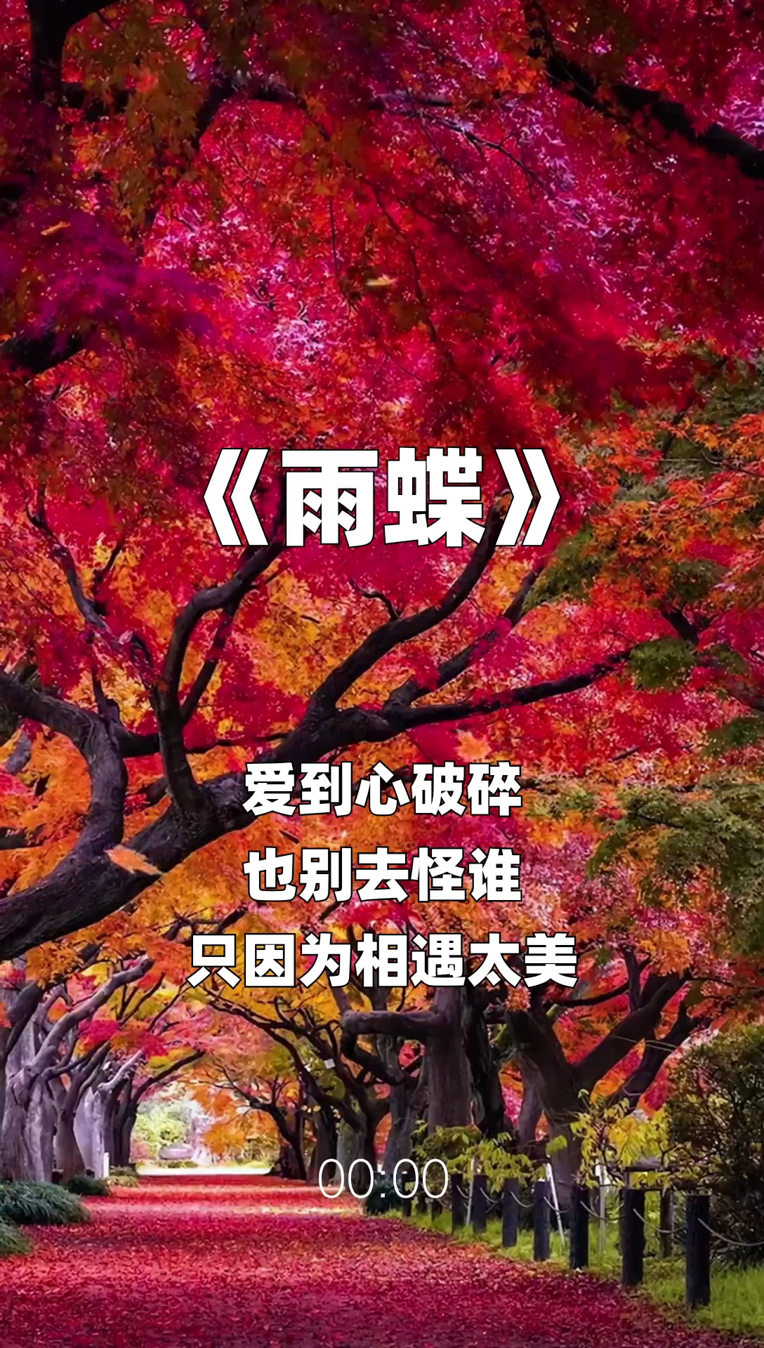 雨蝶最新步驟指南，如何完成任務(wù)或?qū)W習(xí)技能？