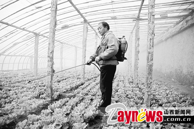 最新農(nóng)藥抽檢結(jié)果出爐，守護(hù)農(nóng)田安全，你我他的共同責(zé)任