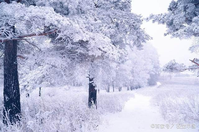 冬日暖陽(yáng)下的溫馨日常，最新冬美文精選