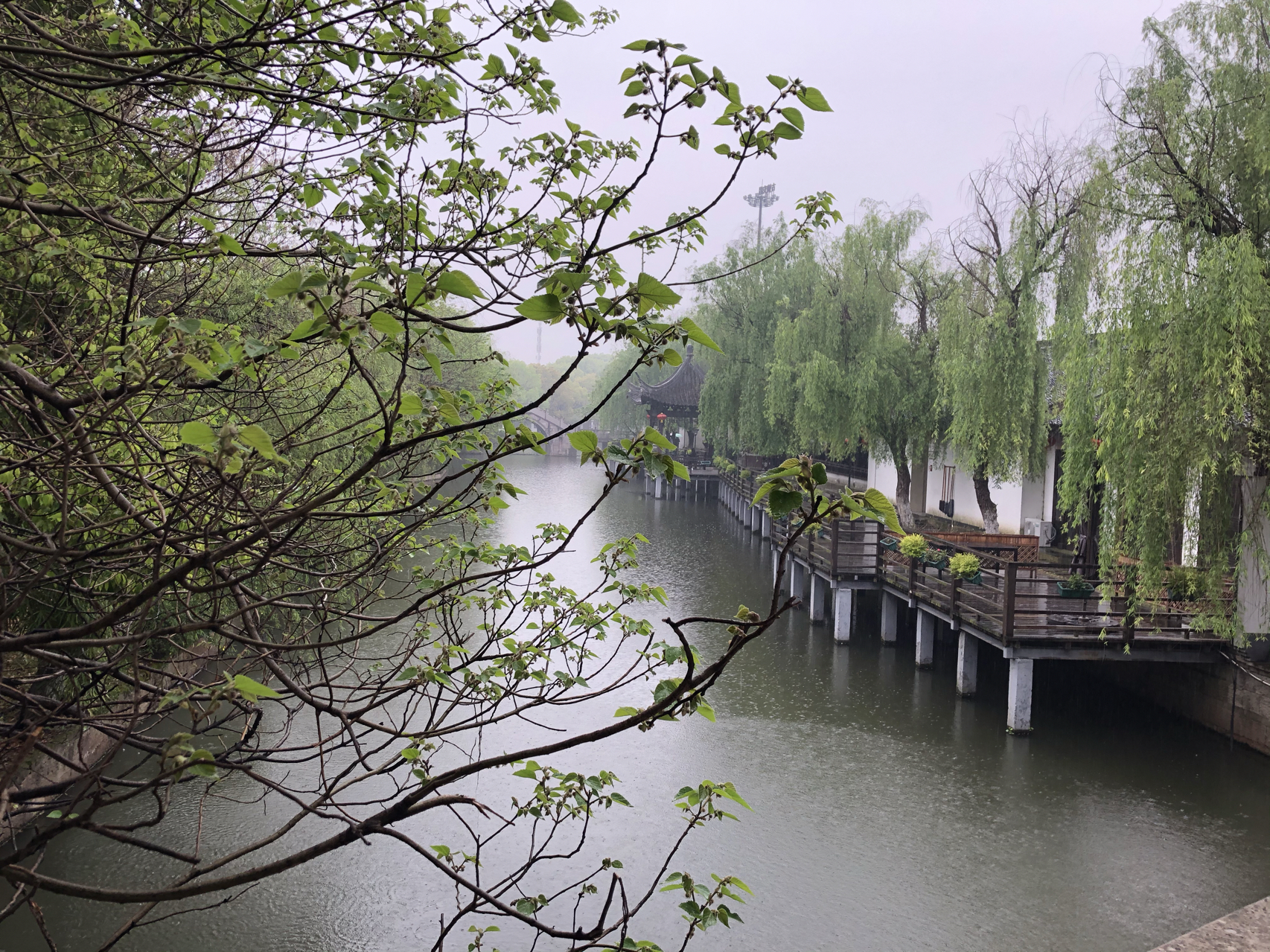 江南煙雨最新，自信與成就感的成長之旅
