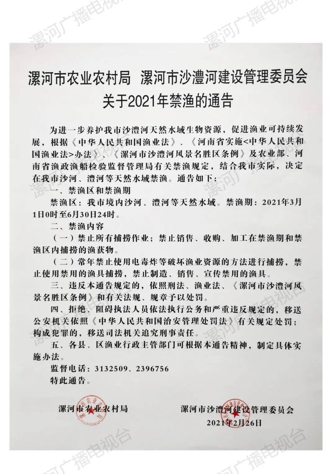 漯河最新通告，探索自然美景，尋覓內(nèi)心寧靜與平和之旅
