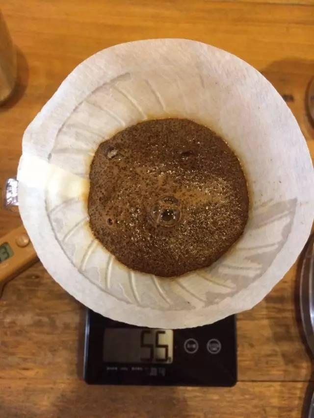 最新萃取法詳解，步驟指南與操作技巧