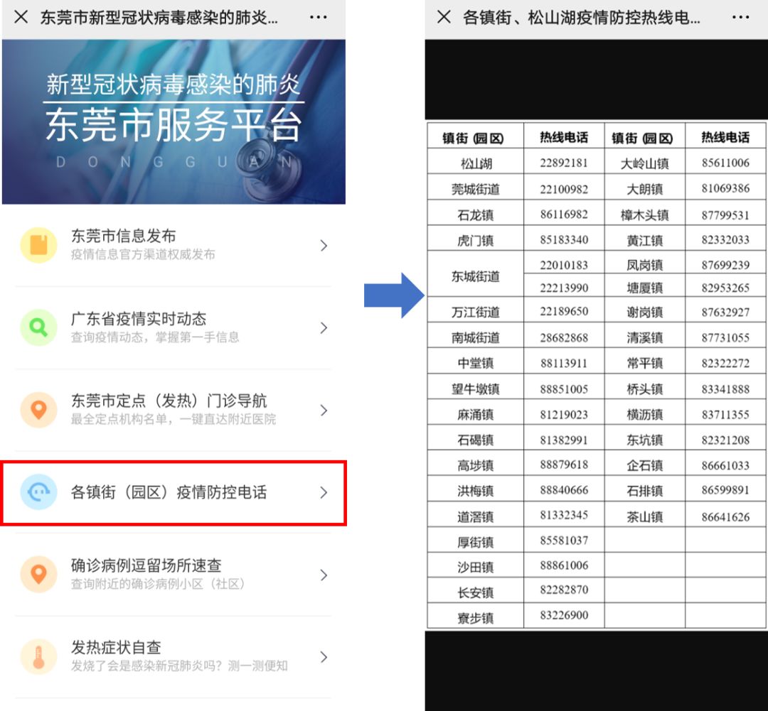 東莞最新疫情狀況，逆風(fēng)翱翔，用知識(shí)守護(hù)夢(mèng)想健康