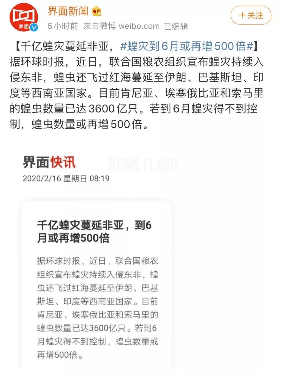 世界蝗災(zāi)最新動(dòng)態(tài)，探索自然美景的輕松之旅