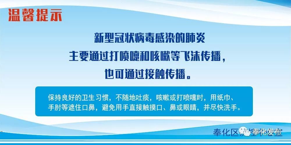 余姚最新確診背后的自然探索之旅，重拾心靈寧靜與平和