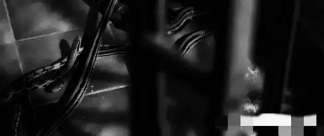 第233頁