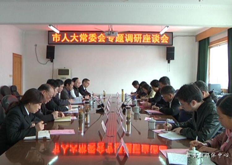 安徽歙縣最新動態(tài)，小巷深處的驚喜