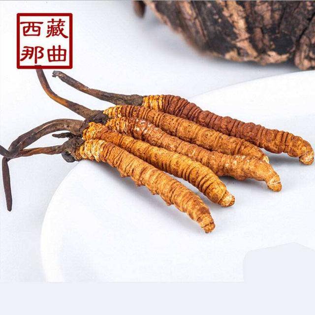 揭秘2025年蟲草最新價(jià)格，探尋小巷中的秘密行情！
