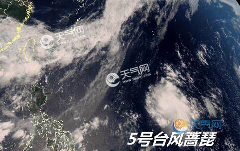 最新實(shí)時(shí)臺風(fēng)風(fēng)力查詢指南，風(fēng)力信息及查詢步驟全解析