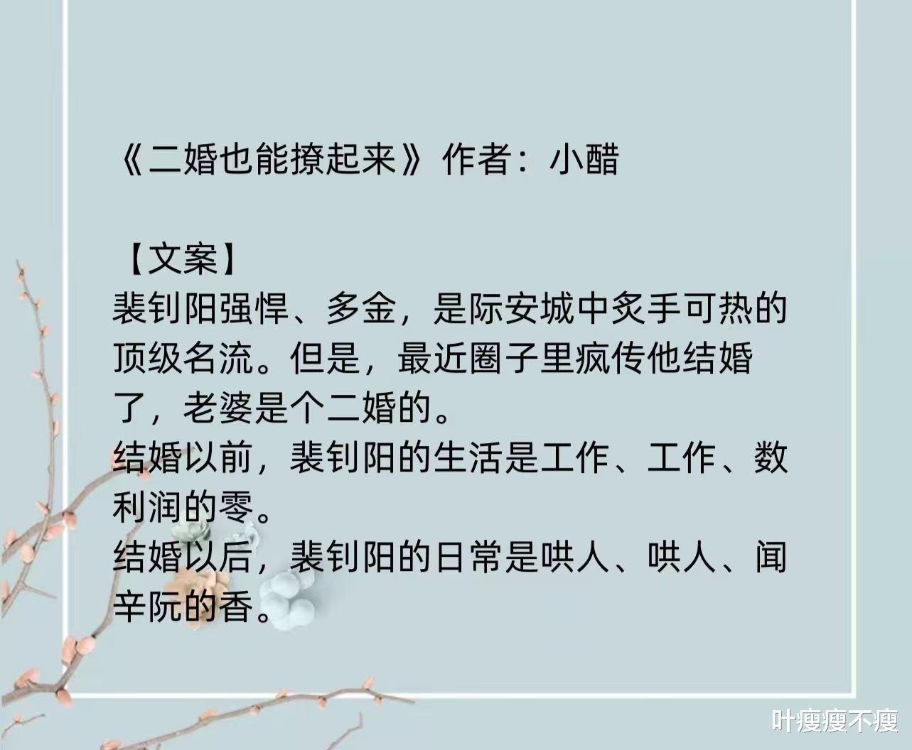 最新二婚小說，小巷深處的浪漫故事