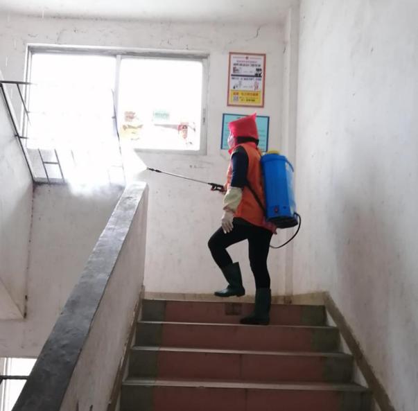 蓬江區(qū)最新高科技住宅，重塑未來(lái)生活體驗(yàn)的首選之地